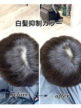 セシル(Cecil) 白髪抑制カラー