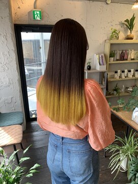 オーパスアミカ(OPUS AMICA) グラデーションカラー×酸熱トリートメント