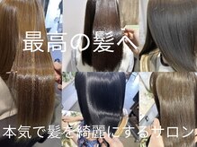 ランプシー(Lampsi)の雰囲気(ハイトーンダメージの方もランプシーのケアで艶々が持続)