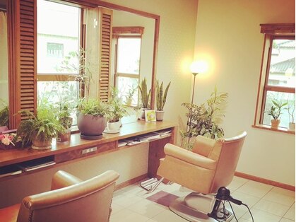 ネバーランド(NEVERLAND)の写真