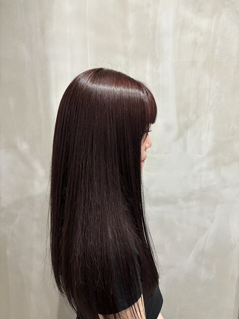 red brown 【Shion】