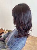 コトカ(Cotoca)&nbsp;パープルカラー