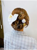 タイト目カチモリアレンジ