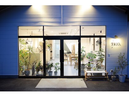 トリオ(TRIO.)の写真