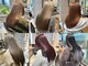 ロカリタ キョウト 河原町三条店(ROCAReTA kyoto)の写真/《三条駅3分/女性専用サロン》髪のクセやうねりをしっかり伸ばし、指通りなめらかなストレートを実現◎