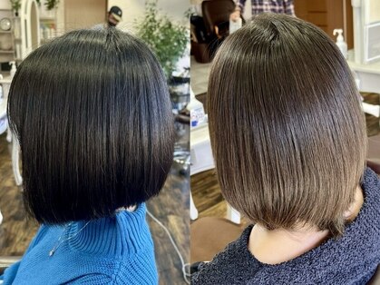 サッコウ(sakkou)の写真