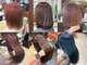 ウィーブ 成田店(Weve)の写真