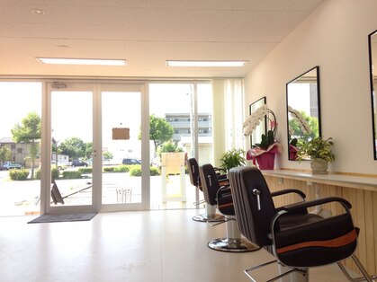 チャトラ(chatra)の写真