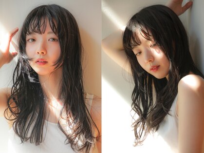 ザ ドッツ(THE DOTS)の写真