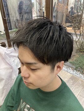 アオトソラ ショートマッシュ