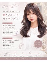 ナノヘアー(nano hair)&nbsp;レイヤーセミロング