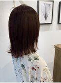 12月(縮毛矯正/ストレート/ミニウルフ/テラコッタ/くすみブルー)