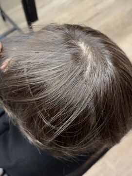 ヴィフ 大船(VIF) 白髪ぼかし/脱白髪染めメルティカラーネビージュ/ことりベージュ