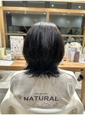 ミディアムウルフ