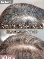 ルルン(Lu-Lun)&nbsp;分け目の白髪が気になる方 白髪ぼかしハイライト