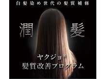 レノヘアー(Leno hair)の雰囲気（ヤクジョ髪質改善プログラムおすすめです。）