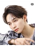 フェザーショート