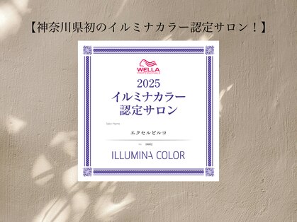 エクセルマーレ(EXCEL MARE)の写真