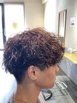 ドルクス(Dorcus)&nbsp;波巻スパイラル