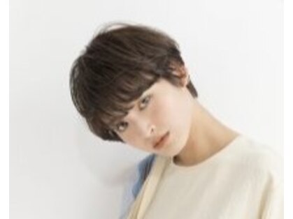 アング(Ang)の写真