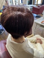 ルネッサンスヘアー ラファエロ(RAFFAELLO)&nbsp;艶々グレーカラー