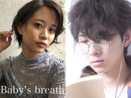 ベイビーズブレス(Baby's breath)の写真