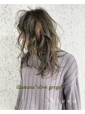 olive grege 【Steed/立川】