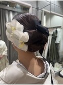 胡蝶蘭×リボン