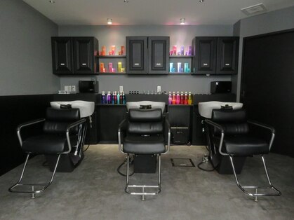 ケシキ(keshiki)の写真