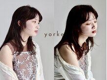 ヨーク(yorke)
