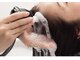 レグルス ヘアーデザイン パセオ野間大池店(Reglus hair design)の写真/【頭皮環境・ハリコシに悩む大人女性へ】頭皮から整えるヘッドスパで髪質改善＊[大橋/野間]