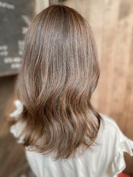 プラン(plan) シークレットハイライト