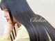 シェリアン 大井町(Chelien)の写真