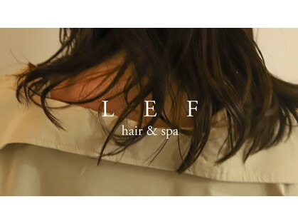 レフ(LEF)の写真