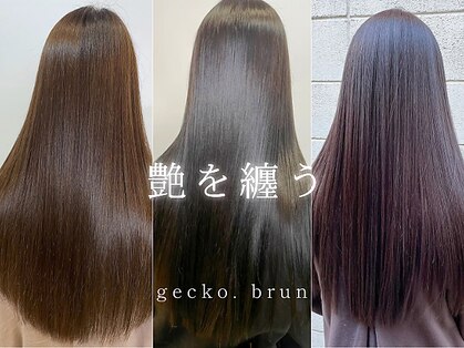 ジェコ ブラン(gecko. brun)の写真