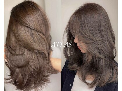 アトラス(ATLAS)の写真