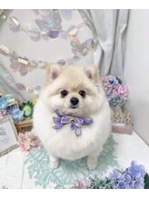 エイル(AIL.)&nbsp;Mao 