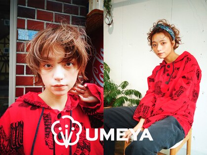 ウメヤ(UMEYA)の写真