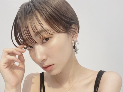 コットン(cotton)の写真