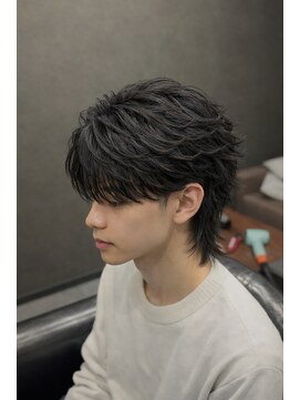 ノイル(Noil) ∞フェザー