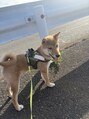 アルゴ 茅ヶ崎(ARUGO) 愛犬♪(茅ヶ崎/辻堂/平塚/20代/30代/40代)