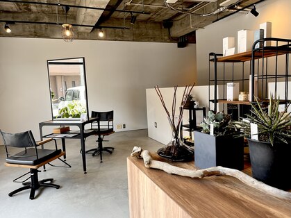 ソル(SOL)の写真