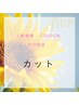 【平日限定】　 カット￥3,850   (シャンプーブロー込み）