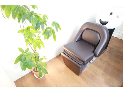 ムーア(MUA)の写真