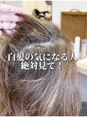 ホワイトグレージュ/デジタルパーマ/チェリーブラウン/守谷