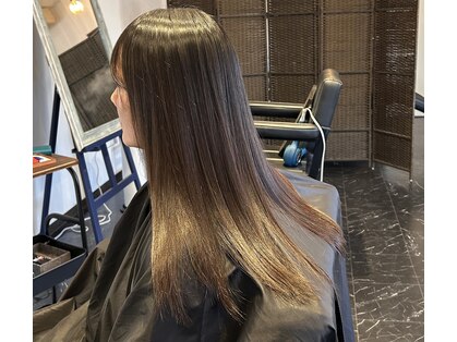 テラ(Terra)の写真