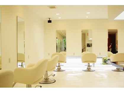 ファイバーネットの写真