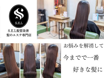 クリー(cree)の写真