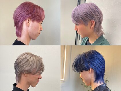 ソソ(soso)の写真
