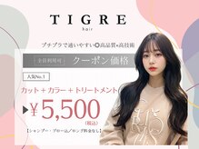 ティグル テンジン(TIGRE tenjin)